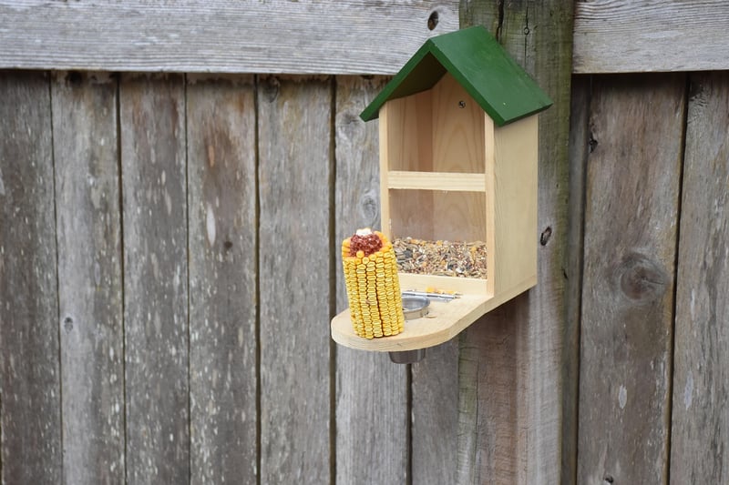 Upcycled Bird Feeder