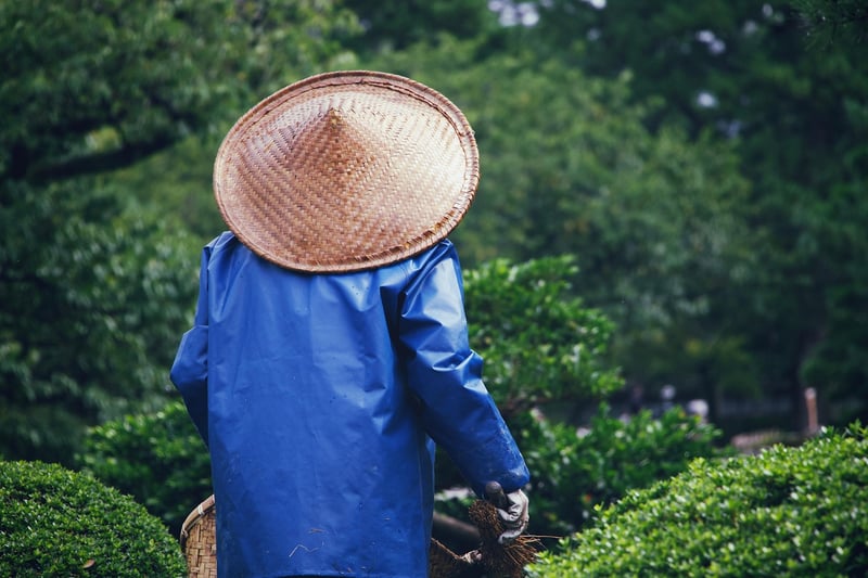 Sustainable gardening